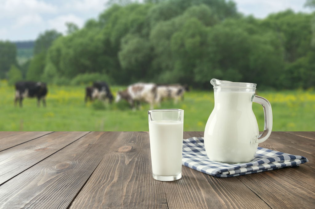 Why is Colostrum so important?
